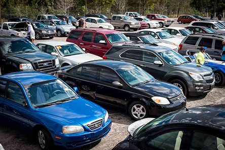 Treasure Coast Auto Auction | Dealer Auto Auction Near Me | 722-595-9454